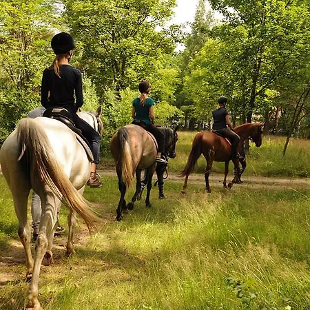Holiday park Ow Mikomania Charzykowy
