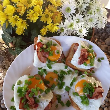 Ow Mikomania Charzykowy