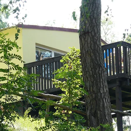 Ow Mikomania Charzykowy