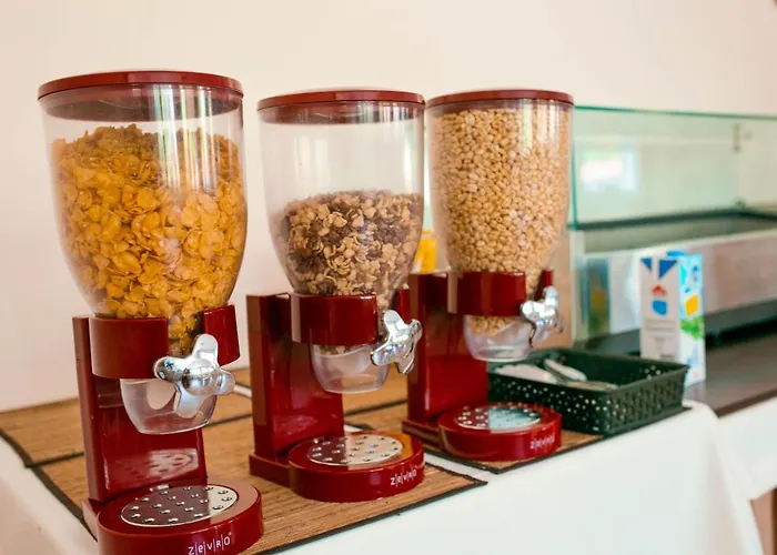 假日公园 Ow Mikomania *